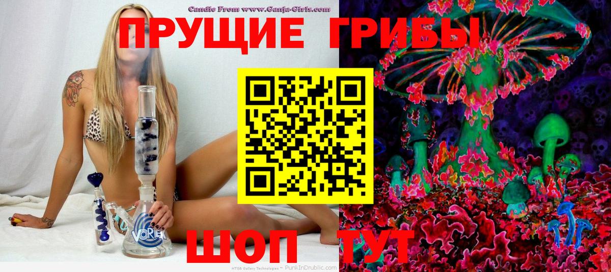 Псилоцибиновые грибы Psilocybine cubensis  купить наркотики цена  Новоалександровск  Галлюциногенные грибы мухоморы 