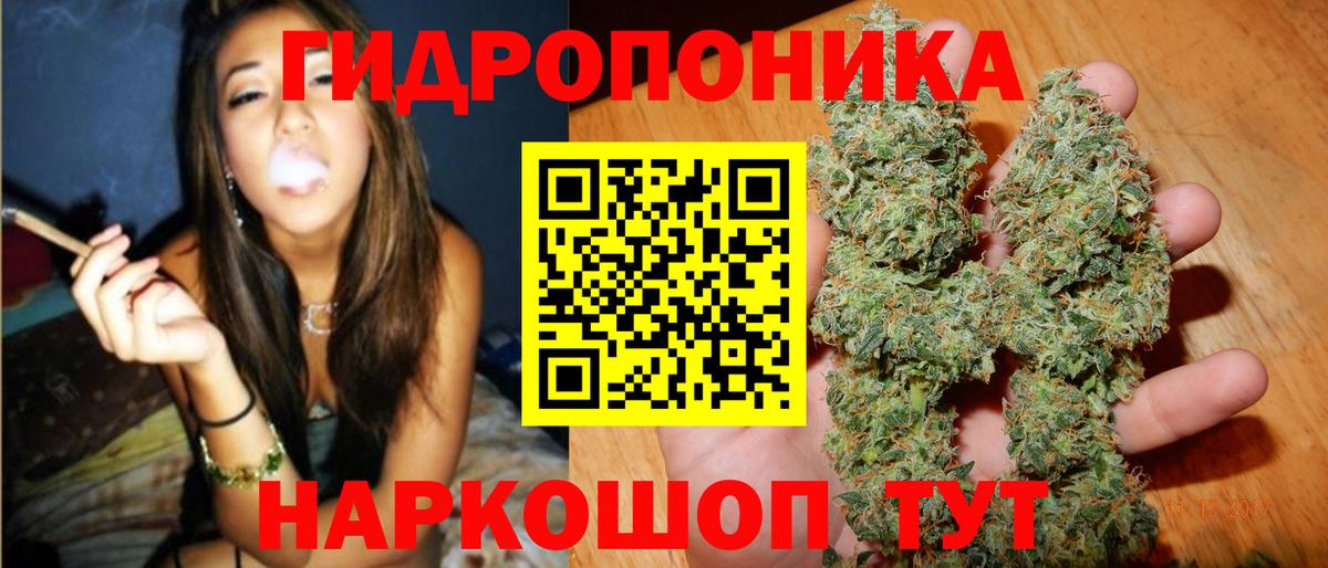 Канабис сатива  Новоалександровск  Каннабис Ganja 